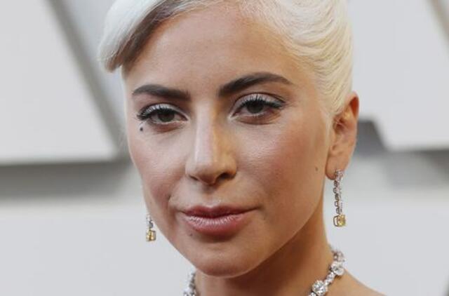 JAV dainininkė Lady Gaga už pavogtų savo šunų sugrąžinimą siūlo 500 tūkst. dolerių atlygį