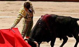 Ispanijos televizija vėl tiesiogiai transliuos bulių kautynes