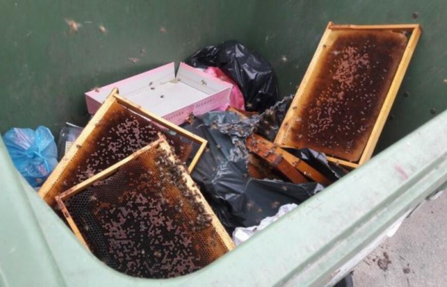 Niekšai bites išmetė į šiukšlių konteinerį
