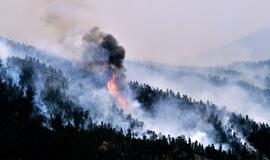 JAV miškų gaisrai plinta