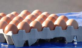 Vilniuje per kiaušinius plinta salmoneliozė