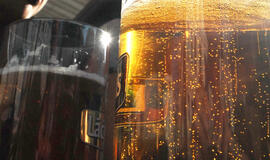 Aludariai dienos metu nereklamuos nealkoholinio alaus ir sidro