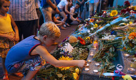 Lietuvos vadovai pareiškė užuojautą Malaizijos avialinijų lėktuvo katastrofoje žuvusiųjų artimiesiems