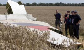 Nyderlandų saugumo taryba: Malaizijos lėktuvas sudužo dėl išorinių veiksnių