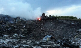 Malaizijos lėktuvo katastrofos vietoje Rytų Ukrainoje rasti fragmentai gali priklausyti rusų raketai