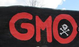 Du trečdaliai ES valstybių narių nenori savo teritorijoje auginti GMO