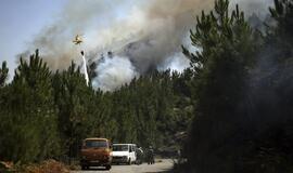 Miškų gaisrai Portugalijoje persimetė į pietinę dalį bei atostogautojų pamėgtą Madeirą