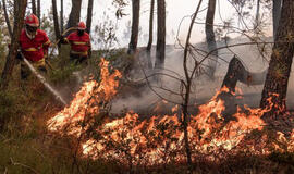 Portugalijoje dėl miško gaisrų evakuoti tūkstančiai žmonių