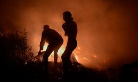 Miškų gaisrų Ispanijoje ir Portugalijoje aukų skaičius išaugo iki devynių
