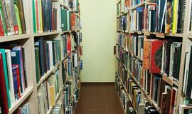 Seimas nustatė kadencijas muziejų ir bibliotekų vadovams