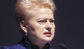 Dalia Grybauskaitė vyksta į Davosą