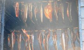 Sprendimas dėl mažų žuvų rūkyklų - rudenį