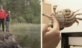 Tvenkinyje žvejoti sumanęs vaikas atrado kinišką krabą