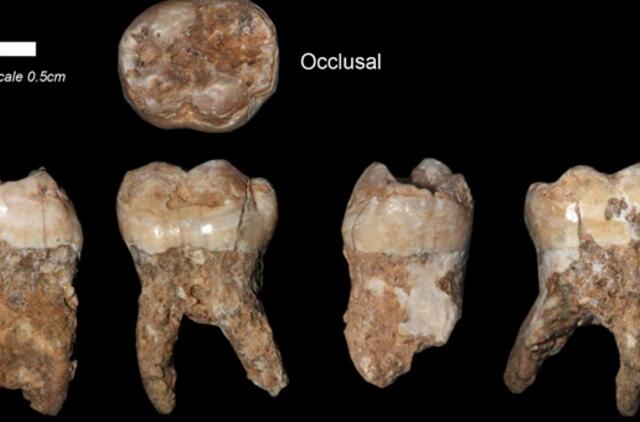 Izraelyje rasti 400 tūkst. metų senumo žmogaus dantys