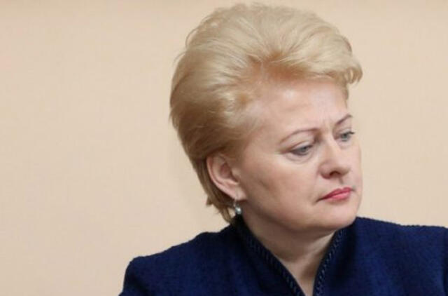 Politologas: "Dalios Grybauskaitės tapimas ES prezidente - kaip gervės skridimas labai aukštai"