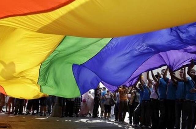 Homoseksualų santuokoms pritaria ketvirtadalis Lietuvos gyventojų