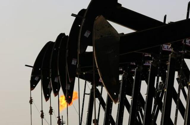 WSJ: Aliaskoje rastos didžiulės naftos atsargos