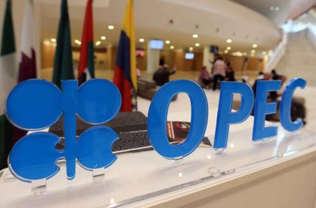 Nafta pinga rinkoms abejojant dėl OPEC susitarimo