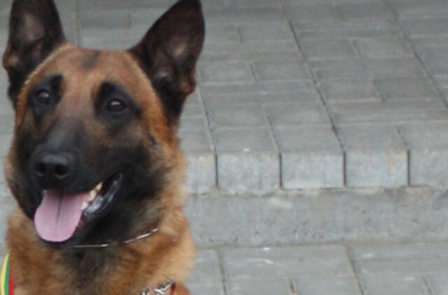 Teismas pradeda nagrinėti Arvydo Komskio bylą dėl šūvio į pasieniečių šunį