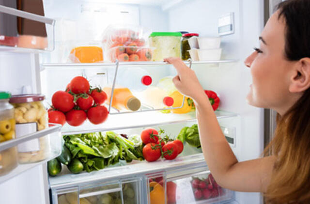 Vasarą žmonės perka dvigubai daugiau šaldytuvų