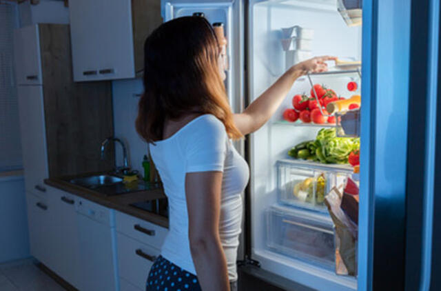 Kokie šaldytuvai padės sutaupyti?