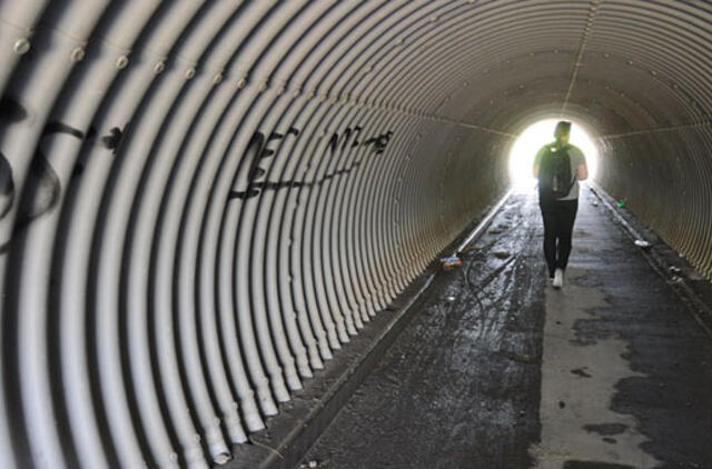 Žaliajame Slėnyje žada tunelį
