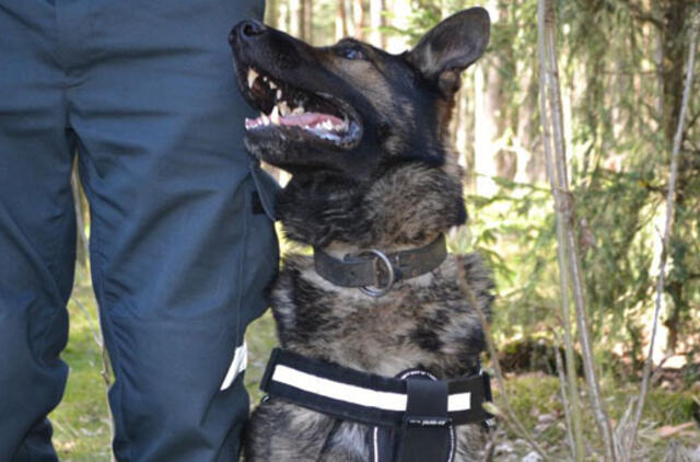 Policijos tarnybinis šuo surado dingusį vyrą