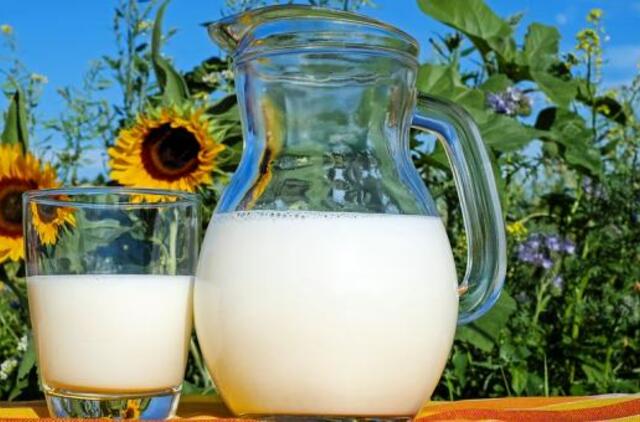 Naudinga žinoti: profesorius R.Stukas paaiškino, kodėl reikia gerti pieną