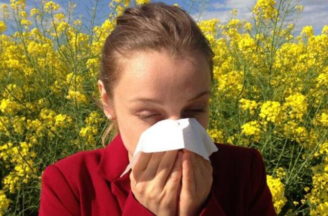 Kaukes vis aktyviau perka alergiški žmonės: vaistininkė paaiškina, ar jos padeda