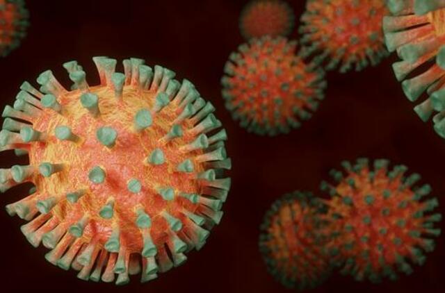Patvirtinta 17 naujų koronaviruso atvejų