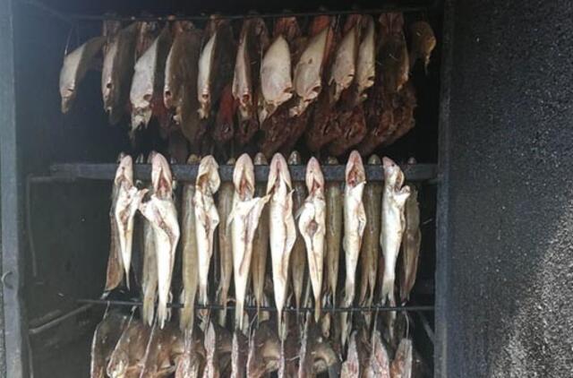 Dėl leidimų verstis žuvies produktų gamyba Neringos savivaldybės teritorijoje