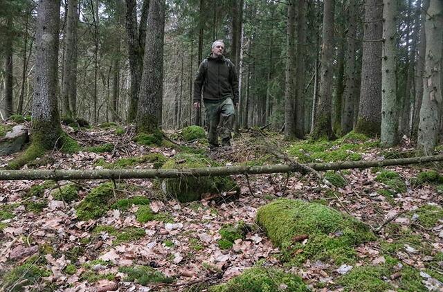 Mistiškasis Pilalės miškas prie Auksūdžio kaimo Kretingos rajone. Čia ne tik laumės, velniai vaidenasi: medžių gūdumoje slypi iš akmenų sukrautas itin retas priešistorės gynybinis įtvirtinimas. Deniso NIKITENKOS nuotr.
